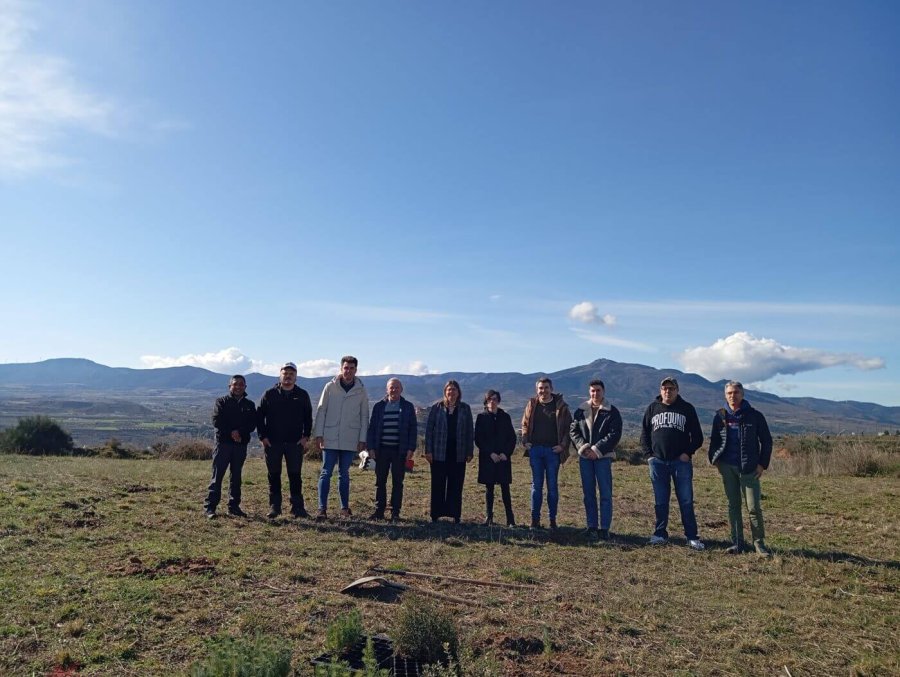 REFORESTACION el Campillo 1