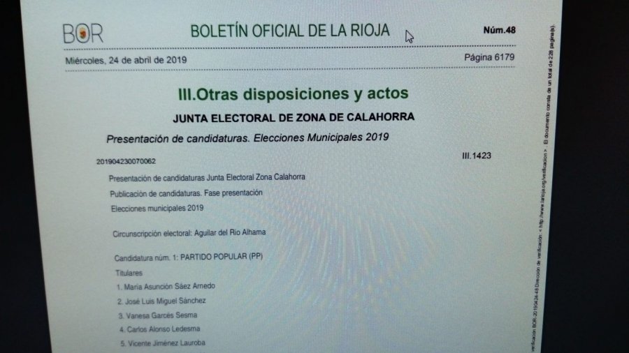 ELECCIONES BOR PUBLICACION CANDIDATURAS