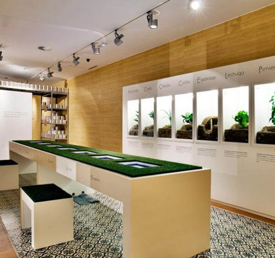 CALAHORRA museo Verdura interior 1