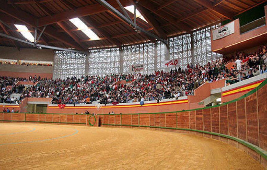 ARNEDO ARENA 1