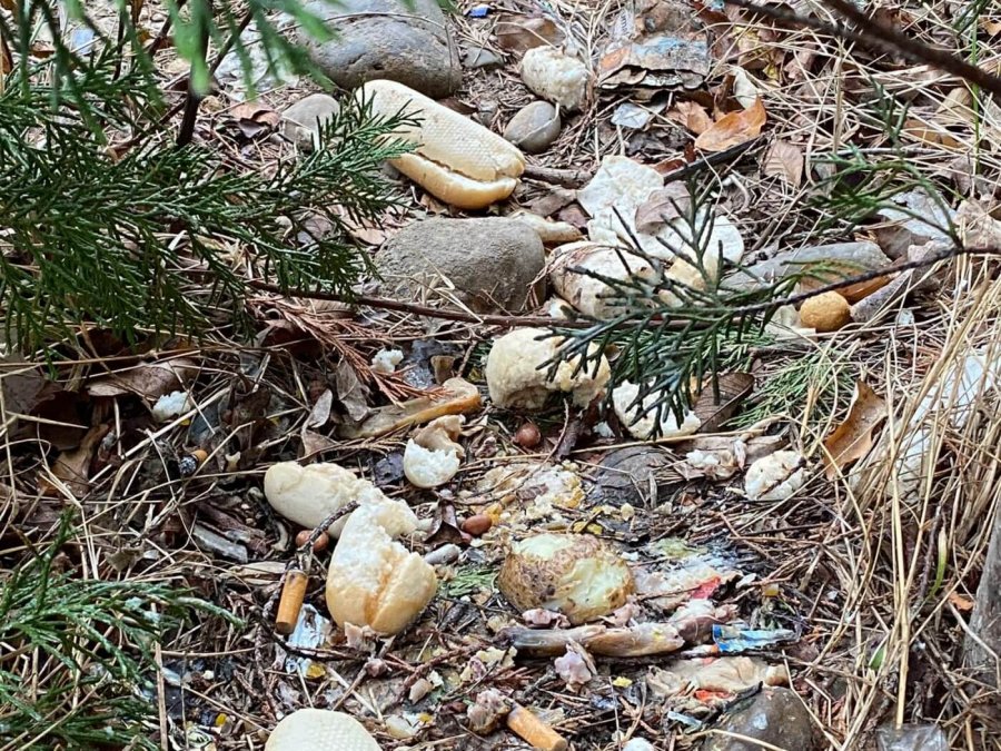 CALAHORRA salubridad restos comida.jpg