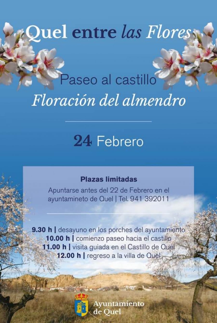 QUEL PASEO AL CASTILLO ALMENDROS