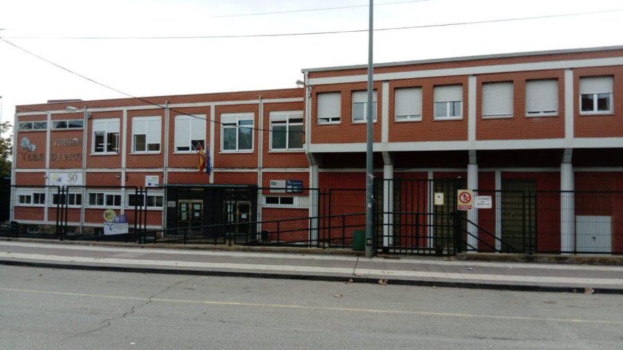 IES VIRGEN DE VICO 1