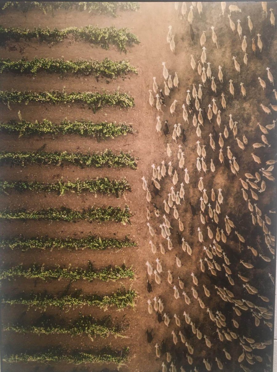 EXPOSICION EL RIOJA Y LOS 5 SENTIDOS primer premio