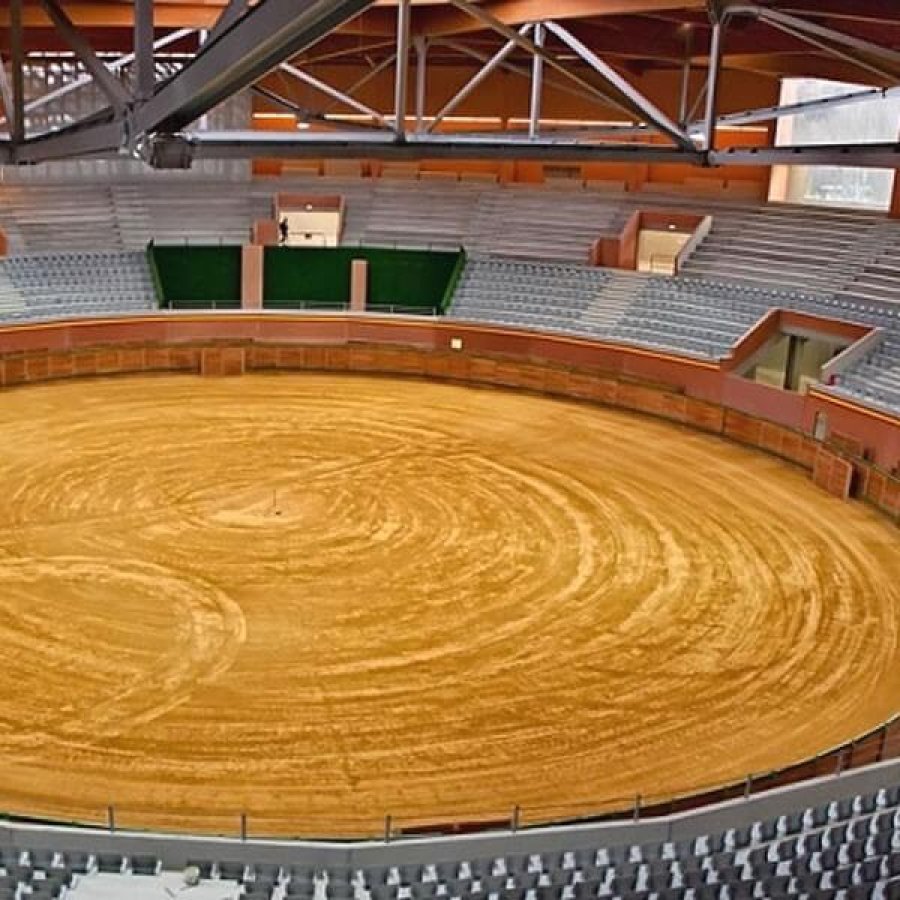 ARNEDO ARENA 2