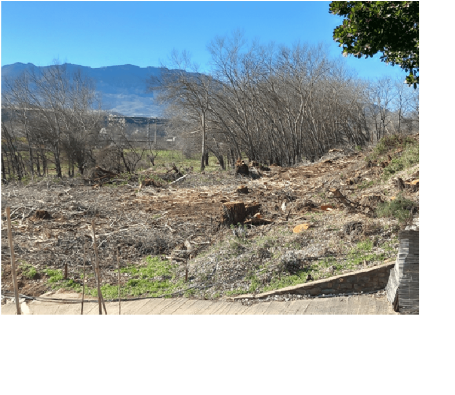 HERCE ecologistas denuncia fiscalía tala 8