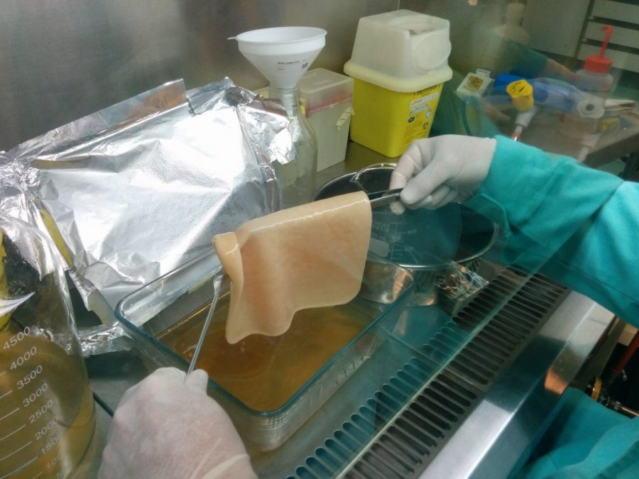 CTCR premio Expoquimia 1