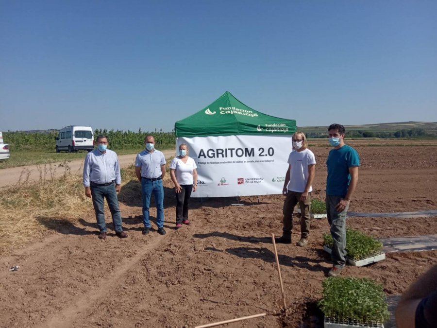 PROYECTO AGRITOM 2.0 1