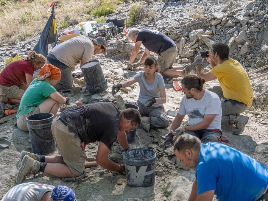 IGEA excavaciones paleontologicas 1
