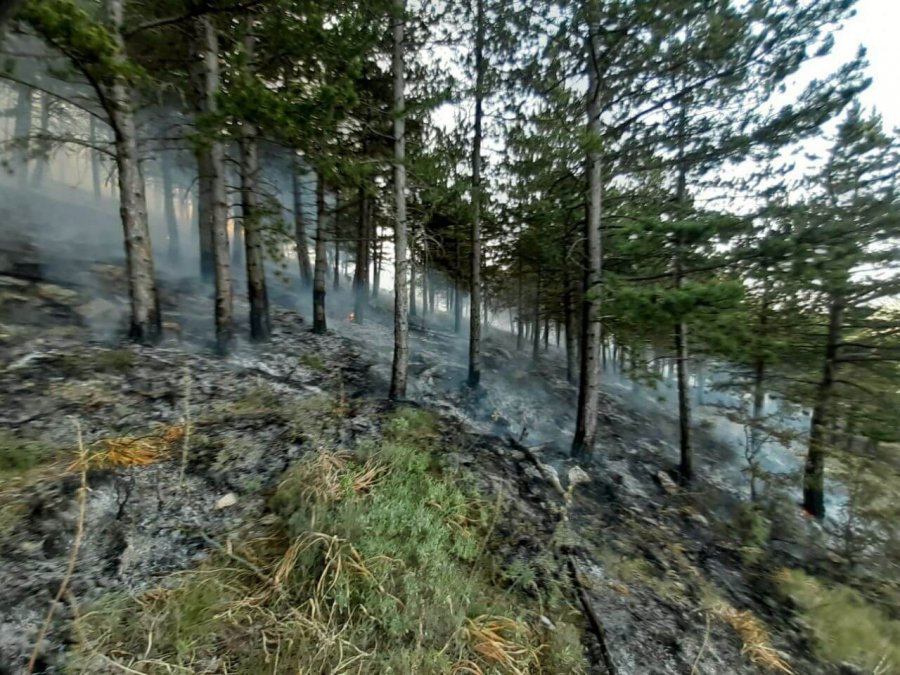 INCENDIO PEÑA ISASA