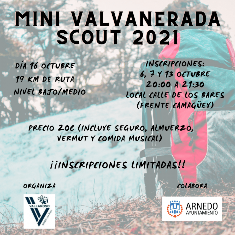 MINI VALVANERADA SCOUT cartel