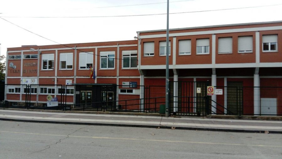 IES VIRGEN DE VICO 1