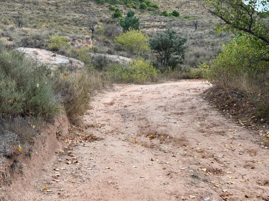 PP ARNEDO caminos rurales 2