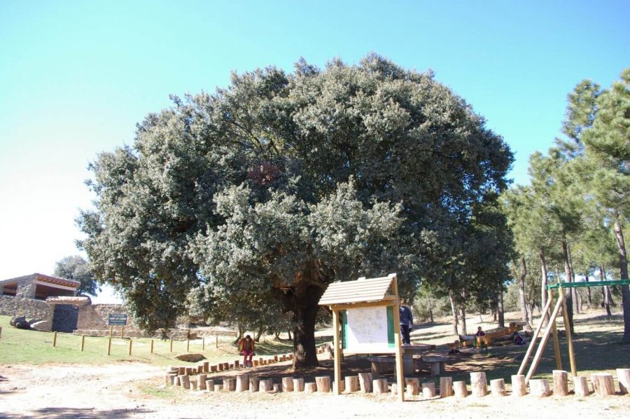 VILLARROYA area recreativa