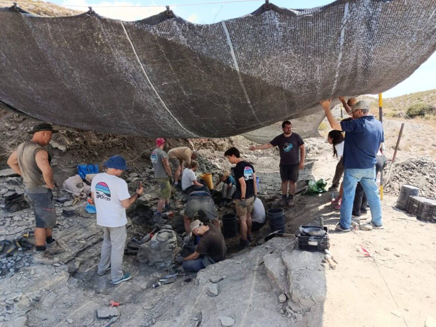 IGEA excavaciones paleontologicas balance 1