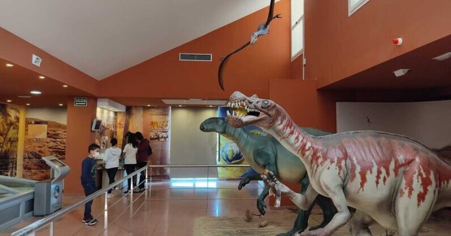 CENTRO PALEONTOLOGICO IGEA 1