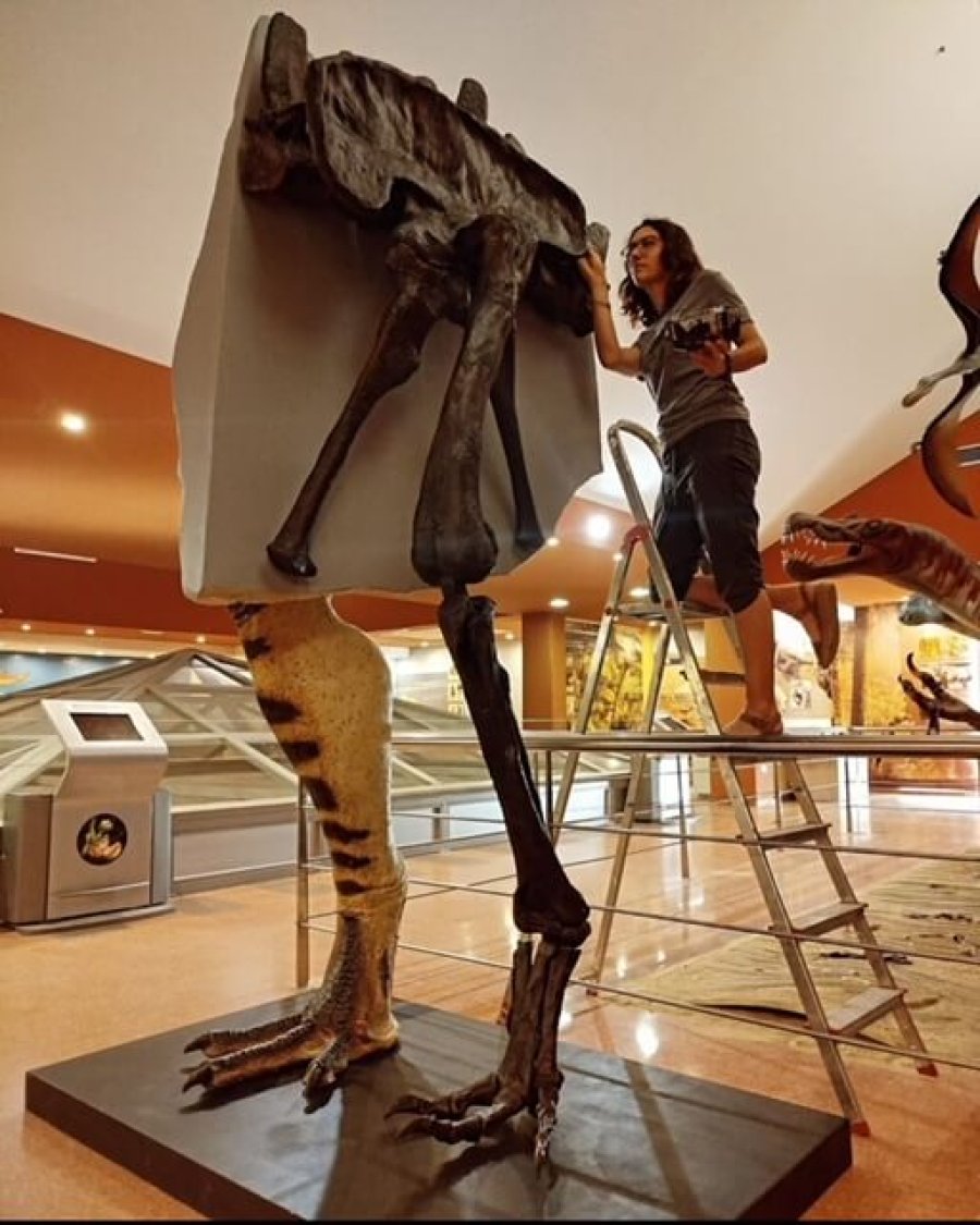 IGEA réplica Riojavenatrix (2)