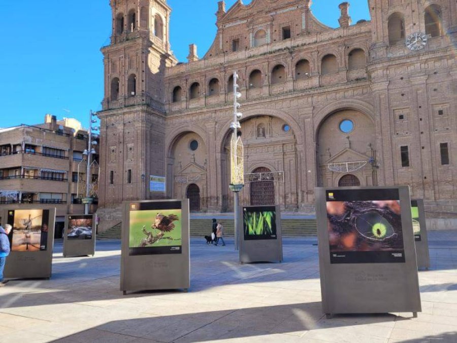 ALFARO EXPO NATURALEZA 1.JPG