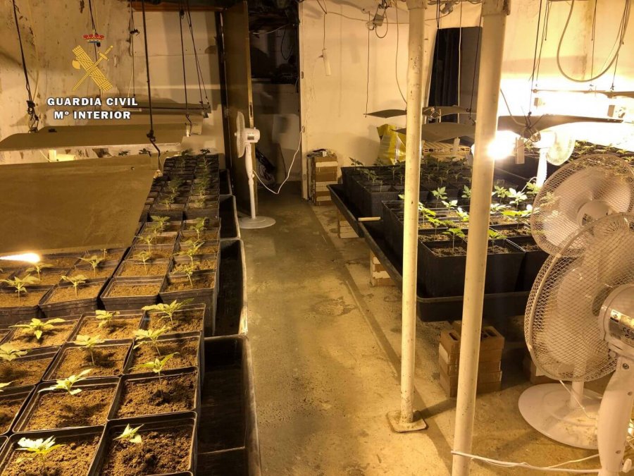 ARNEDO laboratorio marihuana 1.jpg