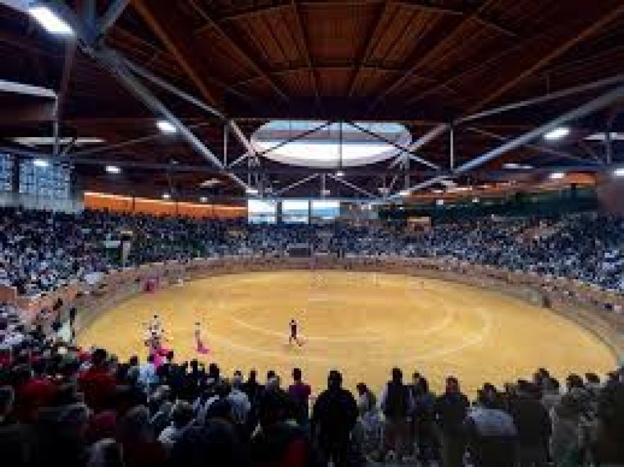 FERIA NOVILLADAS ZAPATO ORO generica