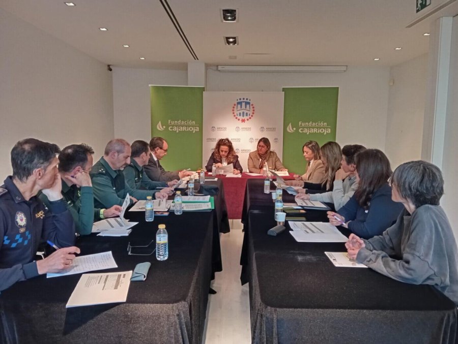 JUNTA LOCAL SEGURIDAD ARNEDO