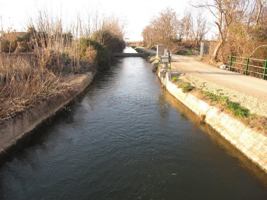 CANAL DE LODOSA 1