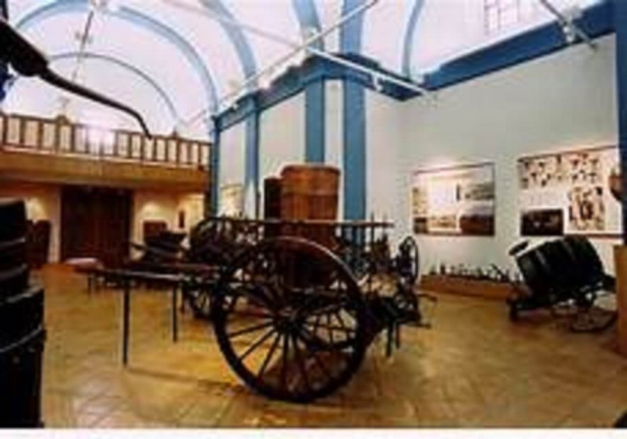 museo vino aldeanueva