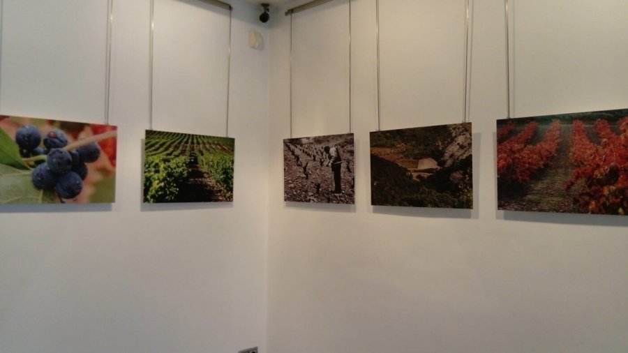 EXPOSICION RUTA VINO RIOJA ORIENTAL 1