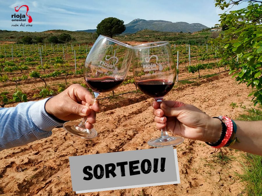 RUTA VINO RIOJA ORIENTAL sorteo instagram